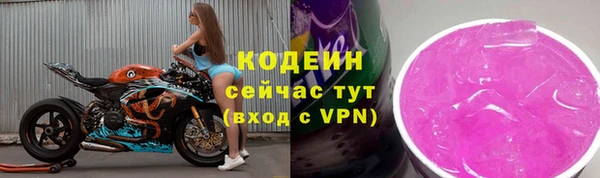 прущий лед Богданович