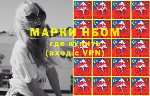 прущий лед Богданович