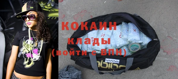 прущий лед Богданович